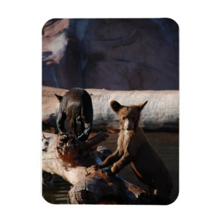 Bear Cubs in Water Magnet