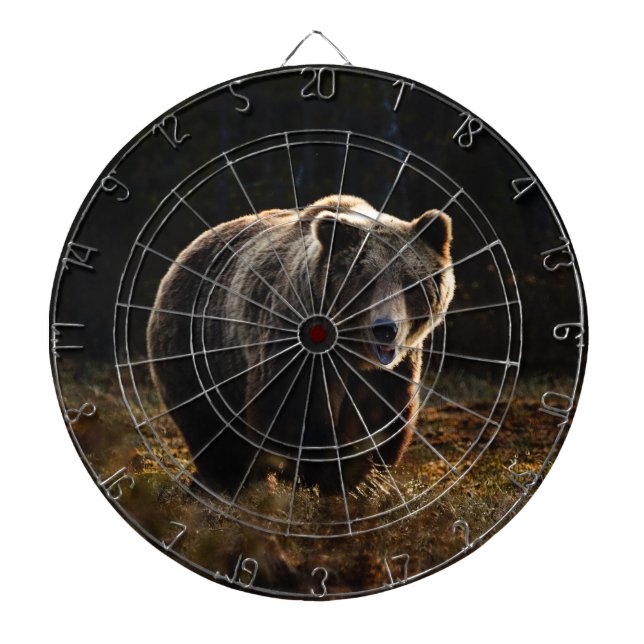 Bear Dartboard (Front)