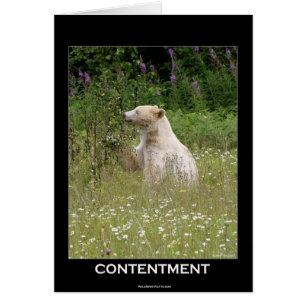 Bear Design for Animal and Wildlife-Supporters