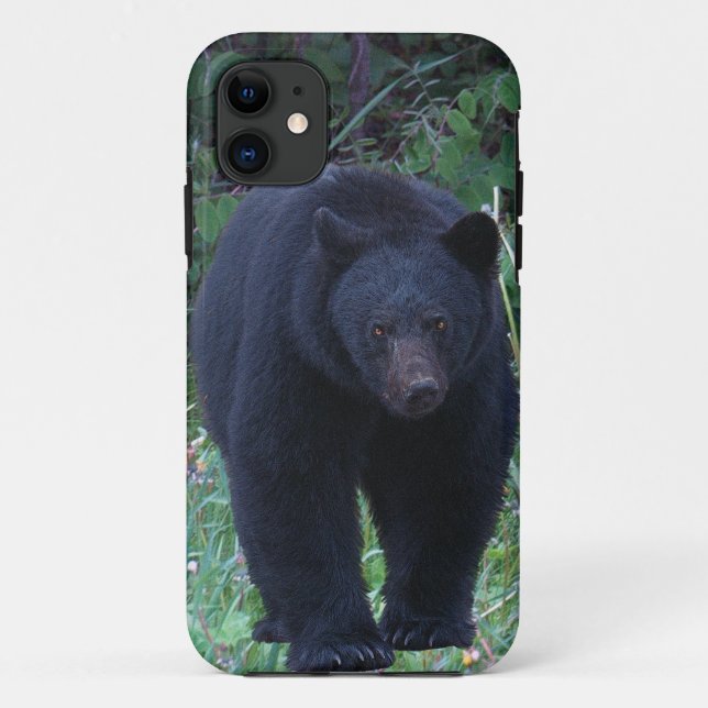 Bear Design for Animal and Wildlife-Supporters Case-Mate iPhone Case (Back)