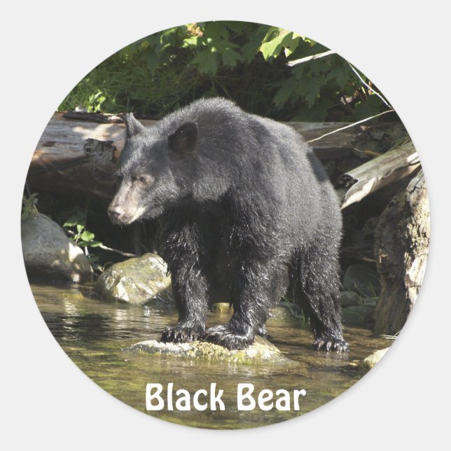 Bear Design for Animal and Wildlife-Supporters Classic Round Sticker (Front)