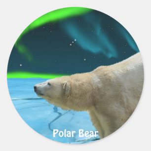 Bear Design for Animal and Wildlife-Supporters Classic Round Sticker