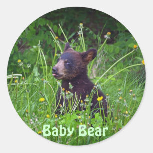 Bear Design for Animal and Wildlife-Supporters Classic Round Sticker