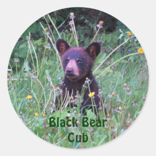 Bear Design for Animal and Wildlife-Supporters Classic Round Sticker