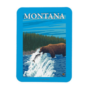 Bear Fishing in River - Montana Magnet