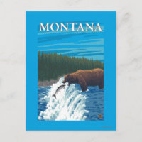 Bear Fishing in River - Montana
