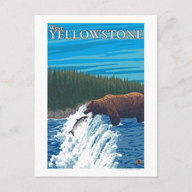 Bear Fishing in River - West Yellowstone, MT Postcard (Front)