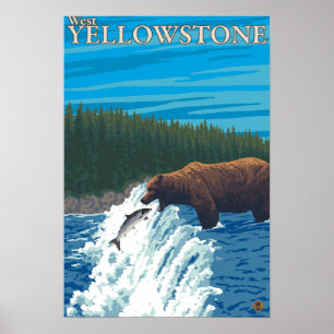 Bear Fishing in River - West Yellowstone, MT Poster