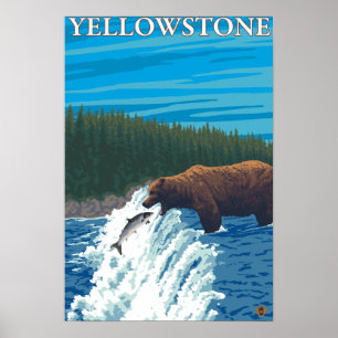 Bear Fishing in River - Yellowstone National Poster