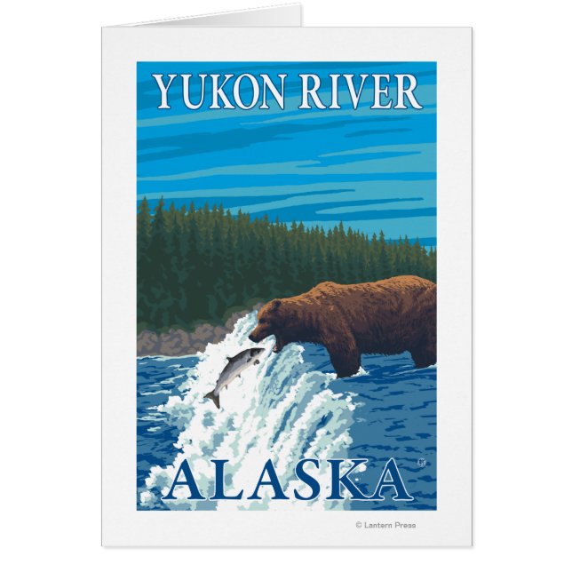 Bear Fishing in River - Yukon River, Alaska (Front)