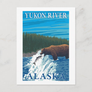 Bear Fishing in River - Yukon River, Alaska Postcard