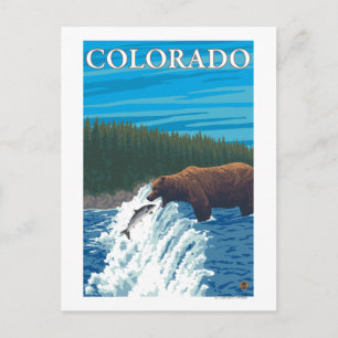 Bear FishingColorado Postcard