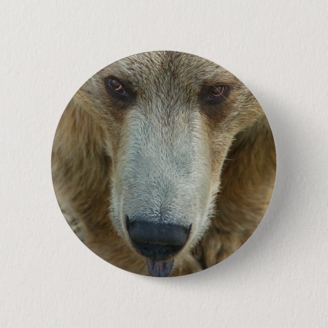 Bear Flair 6 Cm Round Badge (Front)