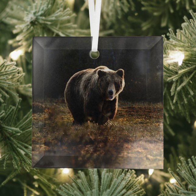 Bear Glass Tree Decoration (Insitu)