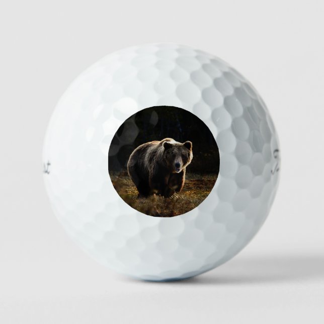 Bear Golf Balls (Front)