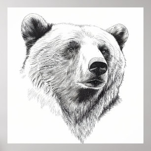 Bear Grizzly Wild Nature Animal Illustration Art Poster
