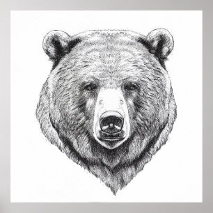 Bear Grizzly Wild Nature Animal Illustration Art Poster
