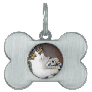 Bear Hug Pet Tag