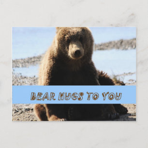 Bear Hugs to you Brown Bear cub Alaska Postcard