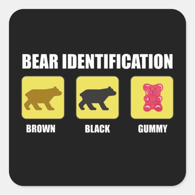 Bear Identification Funny Square Sticker (Front)