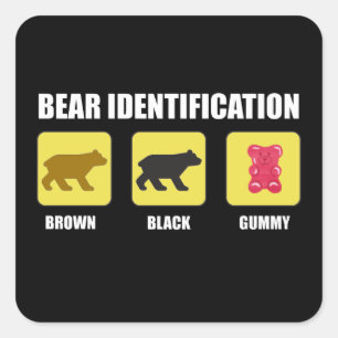 Bear Identification Funny Square Sticker
