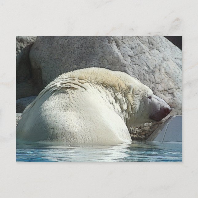 Bear II Postcard (Front)