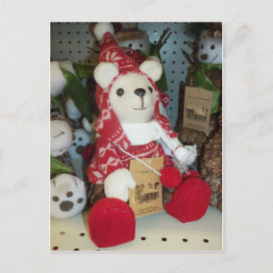 Bear In A Stocking Cap Postcard
