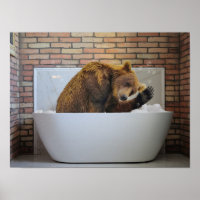 Bear  in Bathtub Bubble bath Animal  