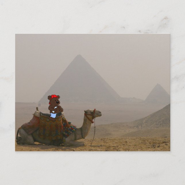 'Bear in Egypt' Postcard (Front)