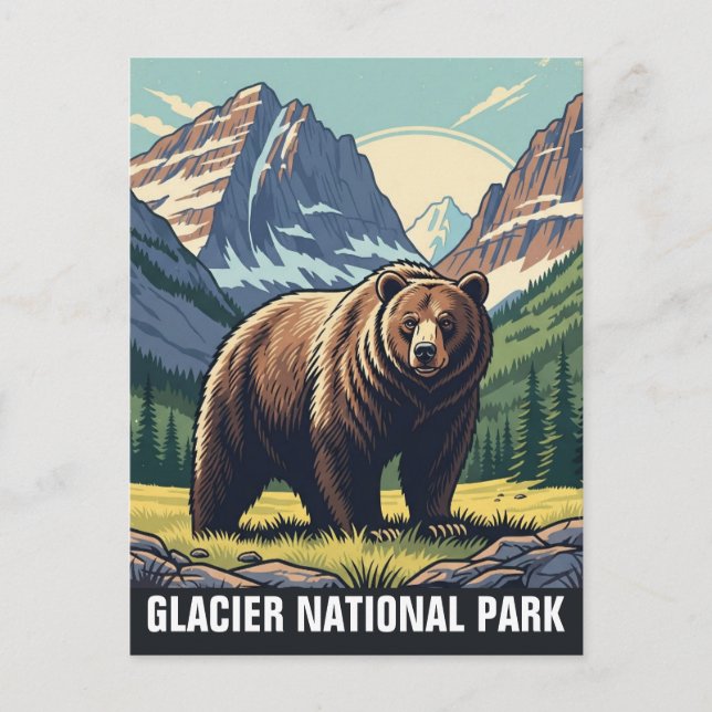 Bear in Glacier National Park Montana Postcard (Front)