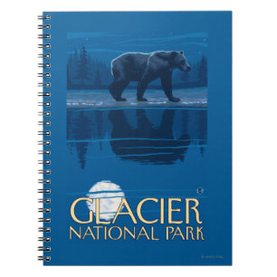 Bear in Moonlight - Glacier National Park, MT Notebook