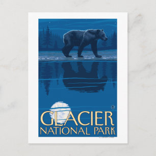Bear in Moonlight - Glacier National Park, MT Postcard
