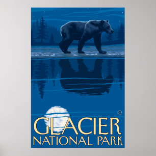 Bear in Moonlight - Glacier National Park, MT Poster