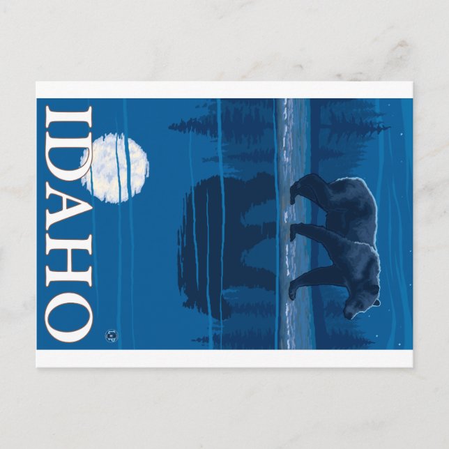 Bear in Moonlight - Idaho Postcard (Front)