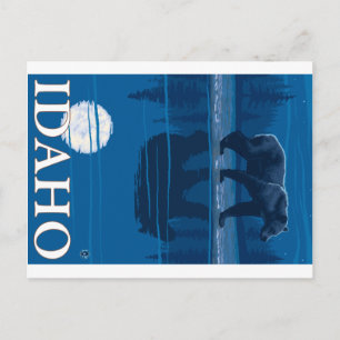 Bear in Moonlight - Idaho Postcard
