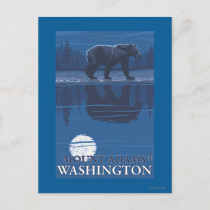 Bear in Moonlight - Mount Adams, Washington Postcard