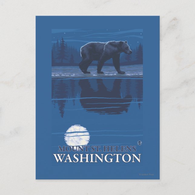 Bear in Moonlight - Mount St. Helens, Postcard (Front)