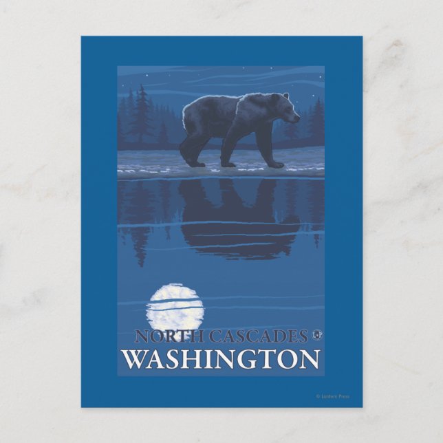 Bear in Moonlight - North Cascades, Washington Postcard (Front)