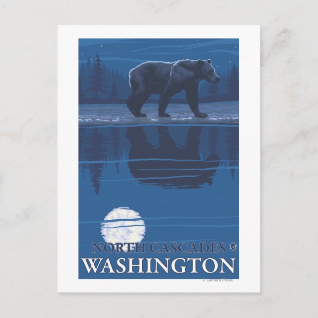 Bear in Moonlight - North Cascades, Washington Postcard (Front)