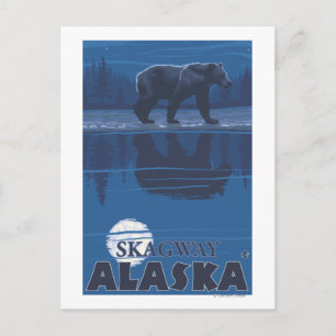 Bear in Moonlight - Skagway, Alaska Postcard