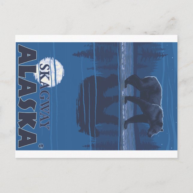 Bear in Moonlight - Skagway, Alaska Postcard (Front)