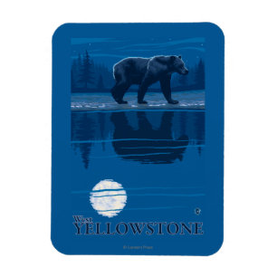 Bear in Moonlight - West Yellowstone, Montana Magnet