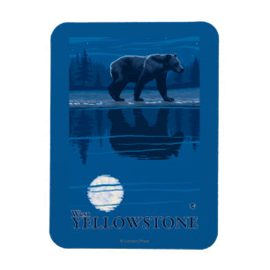 Bear in Moonlight - West Yellowstone, Montana Magnet