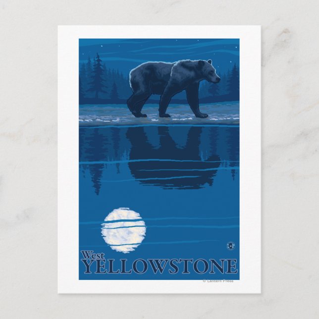 Bear in Moonlight - West Yellowstone, Montana Postcard (Front)