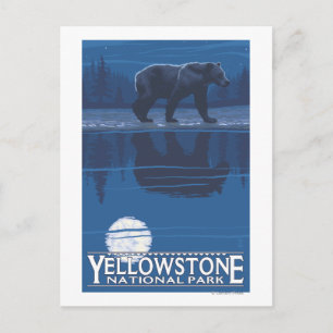 Bear in Moonlight - Yellowstone National Park Postcard