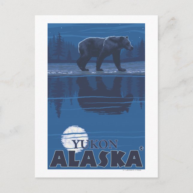 Bear in Moonlight - Yukon, Alaska Postcard (Front)
