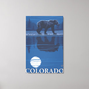 Bear in MoonlightColorado Canvas Print