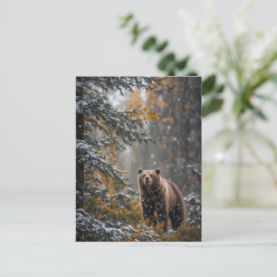 Bear in Snow Christmas Seasons Greetings Holiday Postcard