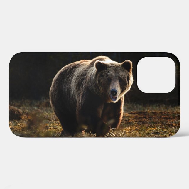 Bear iPhone 12 Case (Back (Horizontal))