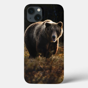 Bear iPhone 13 Case